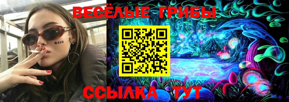 Галлюциногенные грибы прущие грибы  Галлюциногенные грибы Psilocybe  Вход с VPN  Обнинск 